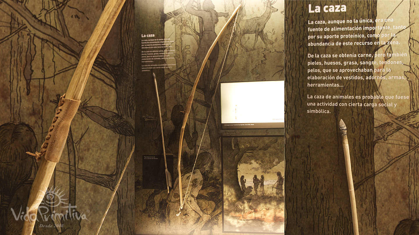 Museo del Bajo Martín